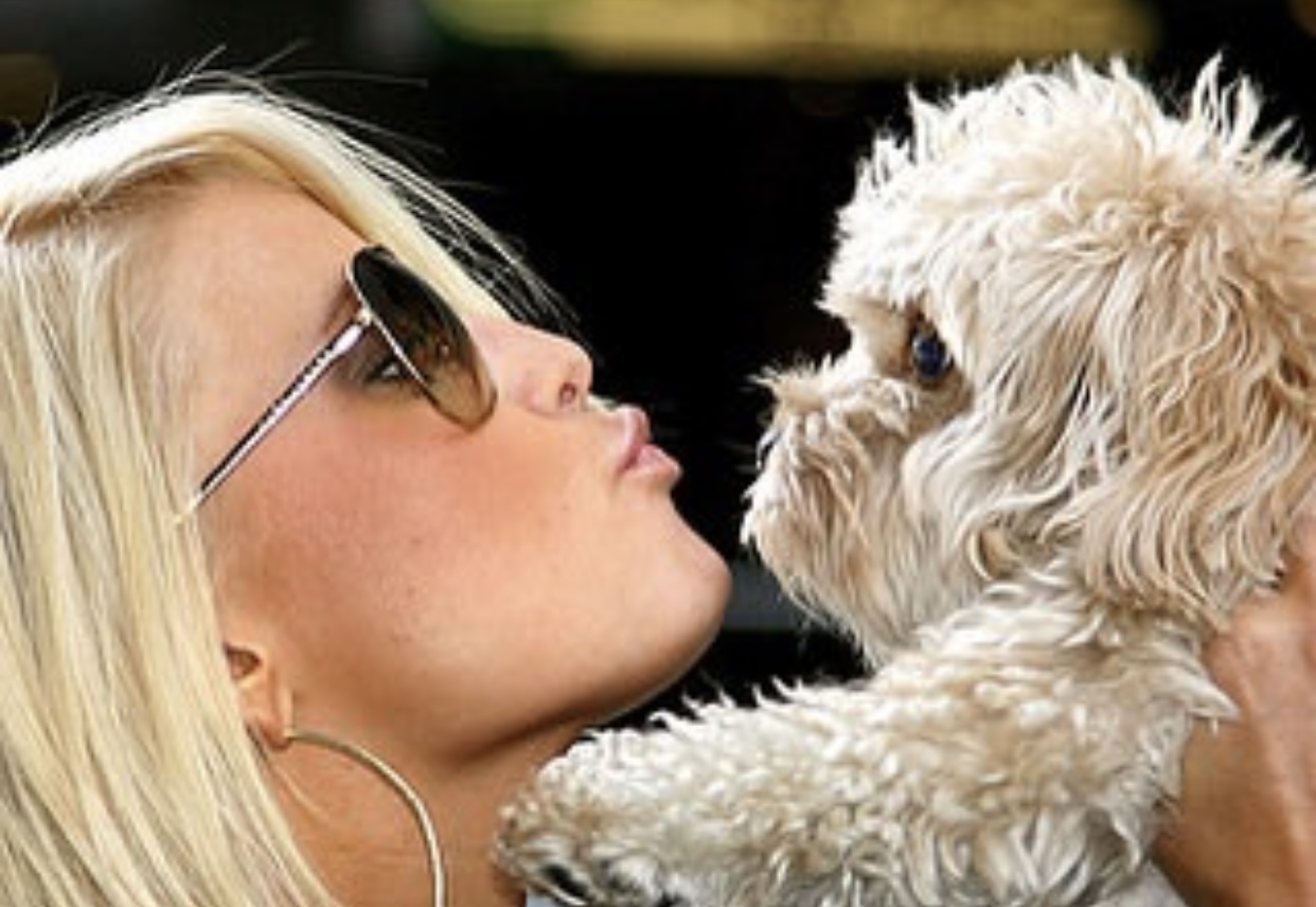 Keith Middlebrook, Keith Middlebrook Foundation, NBA, NFL, MLB, Taylor Swift, Save the Animals, Save dogs, Charity, Health, All Furry souls Matter, Jessica Simpson