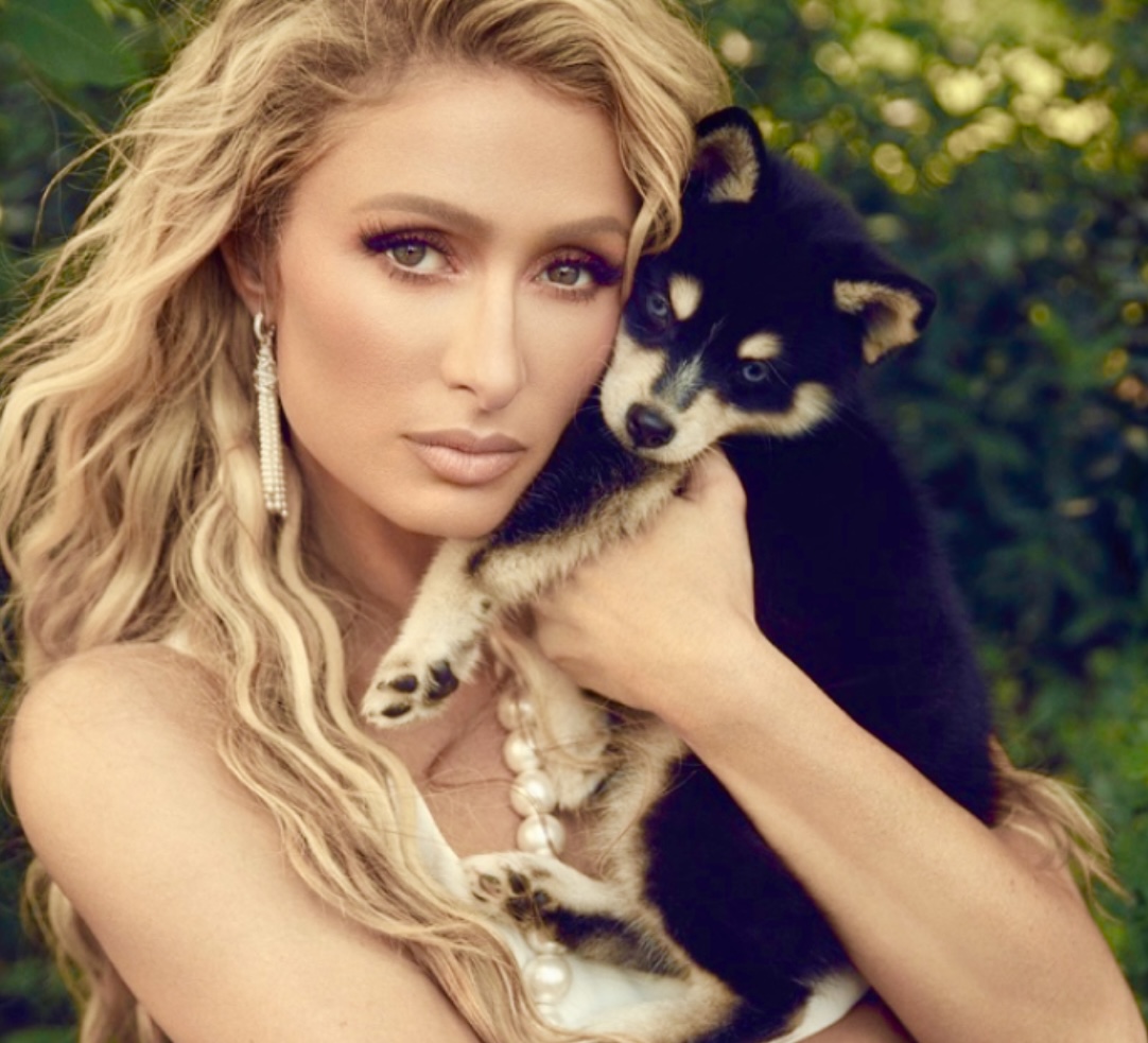 Keith Middlebrook, Paris Hilton, Barbie, NBA, NFL, MLB, Taylor Swift, Success, Keith Middlebrook Foundation, Save Dogs, Dogs, All Furry Souls Matter