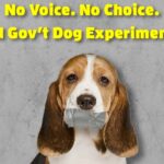 Help Me End Dog Experiments