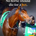 Save All Horses!